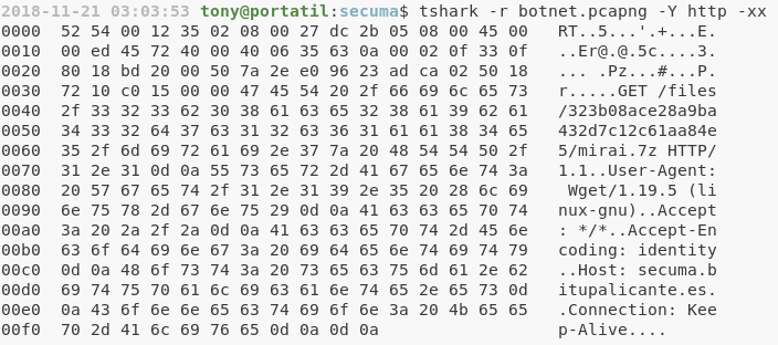 detalle del p1 de http de botnet