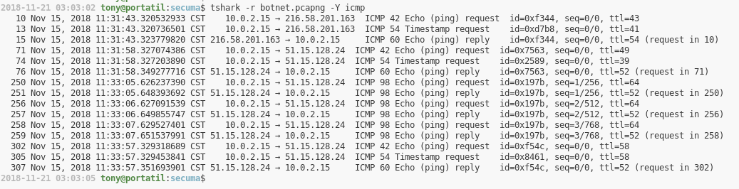 icmp de botnet