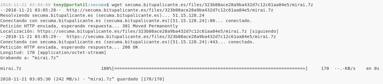 wget de botnet